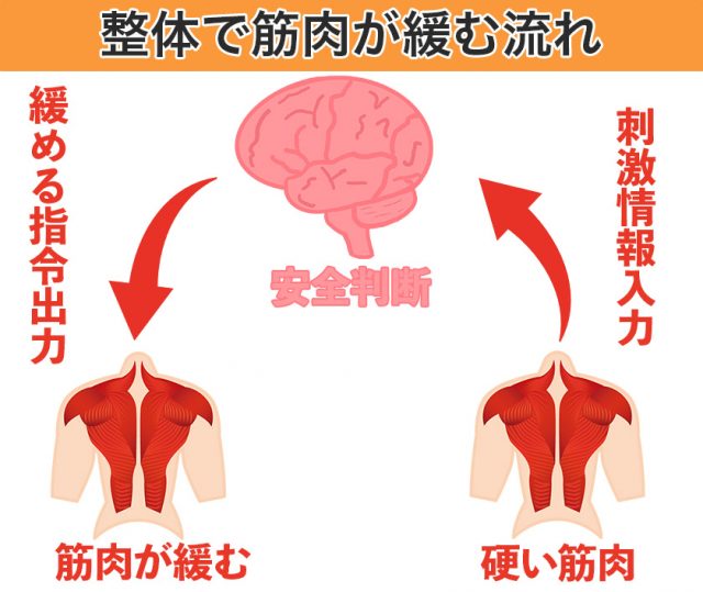 整体で筋肉が緩む