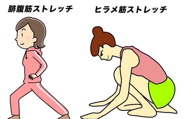 ヒラメ筋　腓腹筋　アキレス腱　ストレッチ