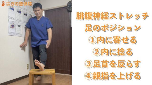 腓腹神経ストレッチ　神経学トレーニング