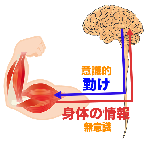 運動療法　一方通行